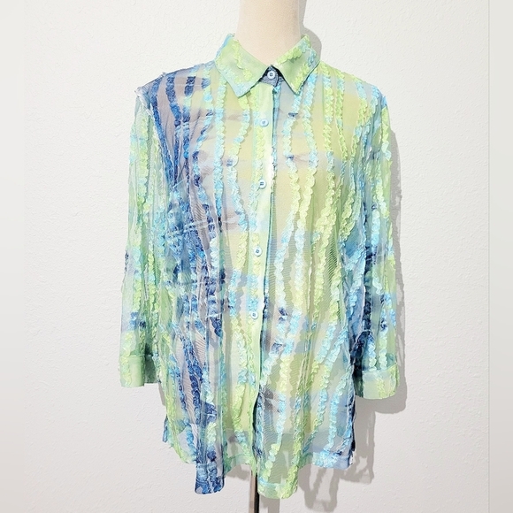 Erin London SZ XL Sheer Blouse Green Blue Stripe Textured Mesh Button Front Top - Picture 2 of 13